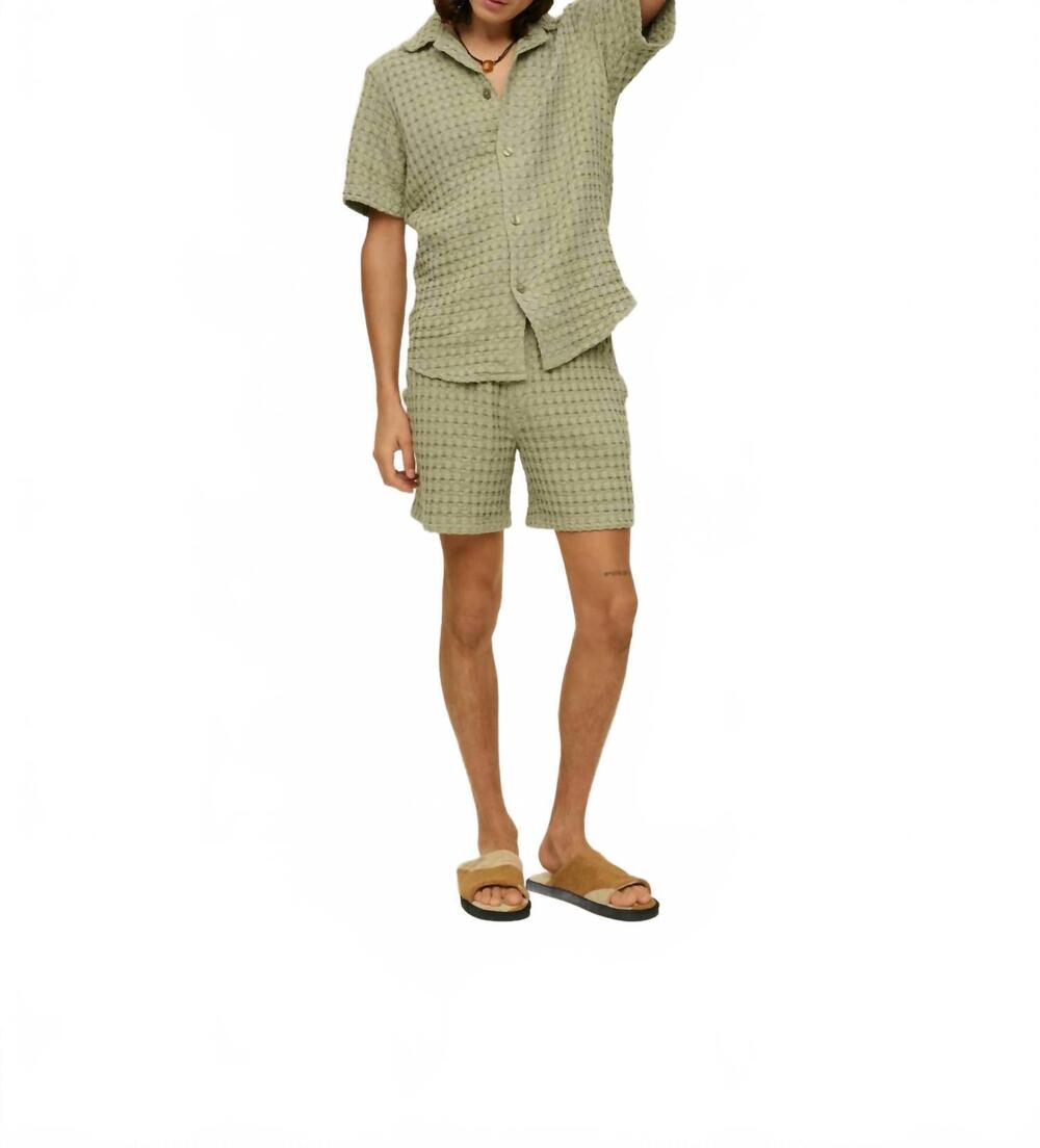NEW OAS porto waffle shorts in dusty green